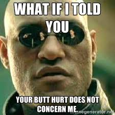 what if i told you your butt hurt does not concern me. - What If I ... via Relatably.com