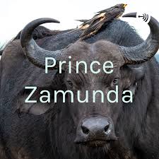 Prince Zamunda