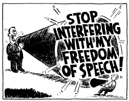 Image result for Images of free speech