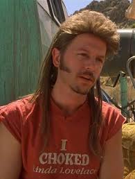 The Best Joe Dirt Quotes | Joe Dirt, Tv Quotes and Quote via Relatably.com