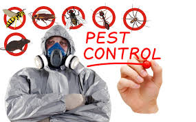 Image result for Pest Control