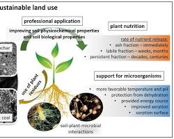 Biochar increasing microbial activity in soil