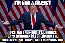 Image result for trump racist