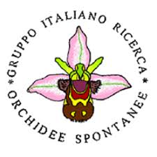 Gruppo italiano per la ricerca sulle orchidee spontanee - Wikipedia