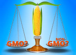 Image result for gmo images