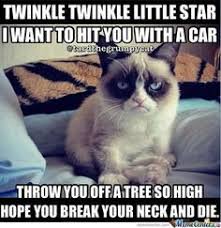 Grumpy Cat on Pinterest | Grumpy Cat Meme, Meme and Funny Pictures ... via Relatably.com