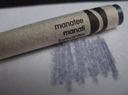 Image result for manatee colour