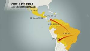 Resultat d'imatges de virus zika en català