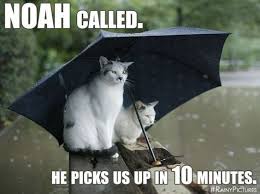 Weather Memes on Pinterest | Shamrock Shake, The Heat and Grumpy Cat via Relatably.com
