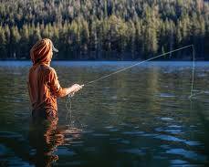 Image of Serene Setting in lake for fly fishing