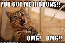 10 Funniest LOLcats Ever | Funny Fotos for Facebook, Funny ... via Relatably.com