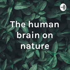 The human brain on nature