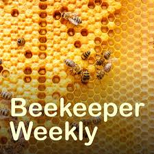 Beekeeper Weekly