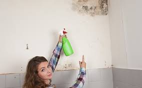 Image result for mold in homes pictures