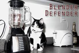 Image result for cats with blenders