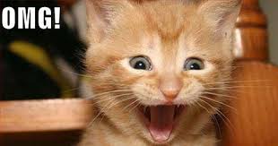 Image result for excited face