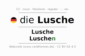 Image result for Lusche