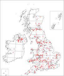 Geranium phaeum | Online Atlas of the British and Irish Flora