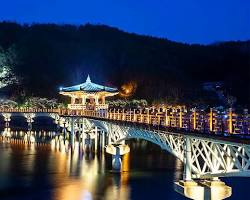 안동 월영교 야경 사진, AI로 생성