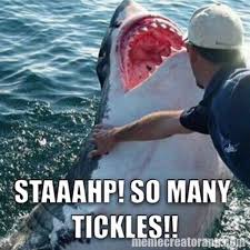 Shark Memes via Relatably.com
