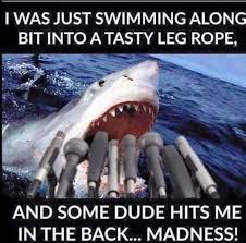 Mick Fanning Shark Attack | Know Your Meme via Relatably.com