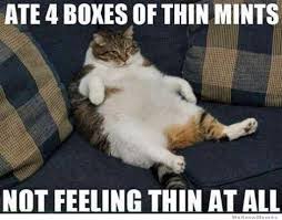 Ate Four Boxes Of Thin Mints | WeKnowMemes via Relatably.com