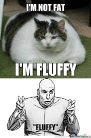 RMX] This Kitty Is Fluffy by toronegro - Meme Center via Relatably.com