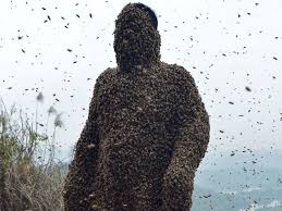 Image result for Man covers self with about 1 million bees