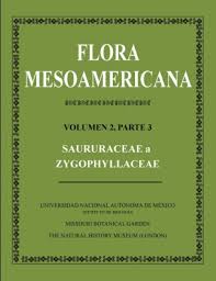 Flora Mesoamericana, Volume 2 (Part 3): Saururaceae a ...