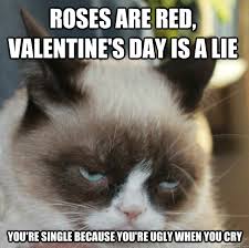 Memes Vault Happy Birthday Meme with the Grumpy Cat via Relatably.com
