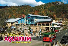 Image result for pictures of things to do in the great smoky mountains