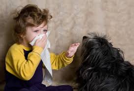 Overcome Pet Allergens in the Home