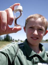 Carson Belnap shows off a leech collected from the pond behind the Utah State University Uintah Basin campus Wednesday, June 5, 2013, during the first day ... - 1152134
