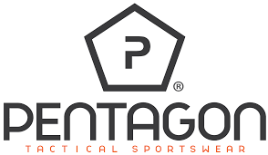 Bildresultat för pentagon logo