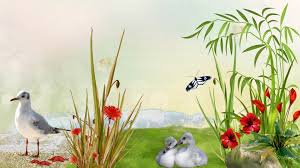 Imagini pentru flowers with birds
