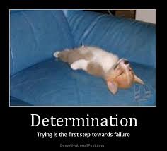 determination-trying-is-the-step-towards-failure-determination-quote.jpg via Relatably.com