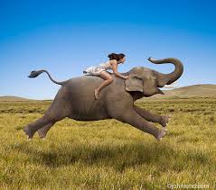 Image result for emotions man riding an elephant