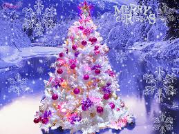 Image result for images of christmas trees