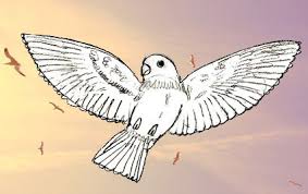 Картинки по запросу малюнок казкового птаха