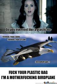 Funny Birds Airplane Memes. Best Collection of Funny Funny Birds ... via Relatably.com