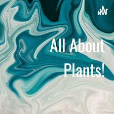All About Plants!
