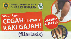 Image result for Filariasis / Penyakit Kaki Gajah