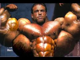Image result for steroids