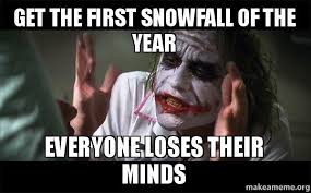 Get The First Snowfall Of The Year Everyone Loses Their Minds ... via Relatably.com