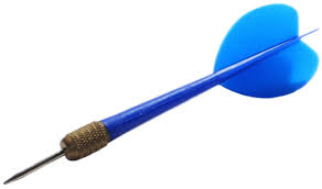 Image result for blue dart