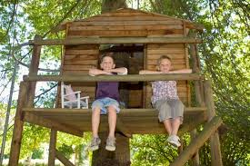 Image result for kids tree fort