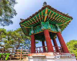 충북 영동군 여행지 명소, AI로 생성