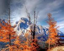 阿爾卑斯山秋季的圖片
