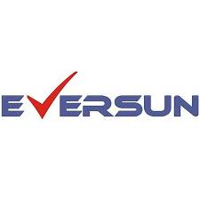 Image result for TVS (Eversun– Technologies)