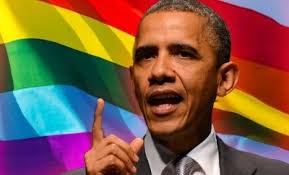 Image result for obama and gay